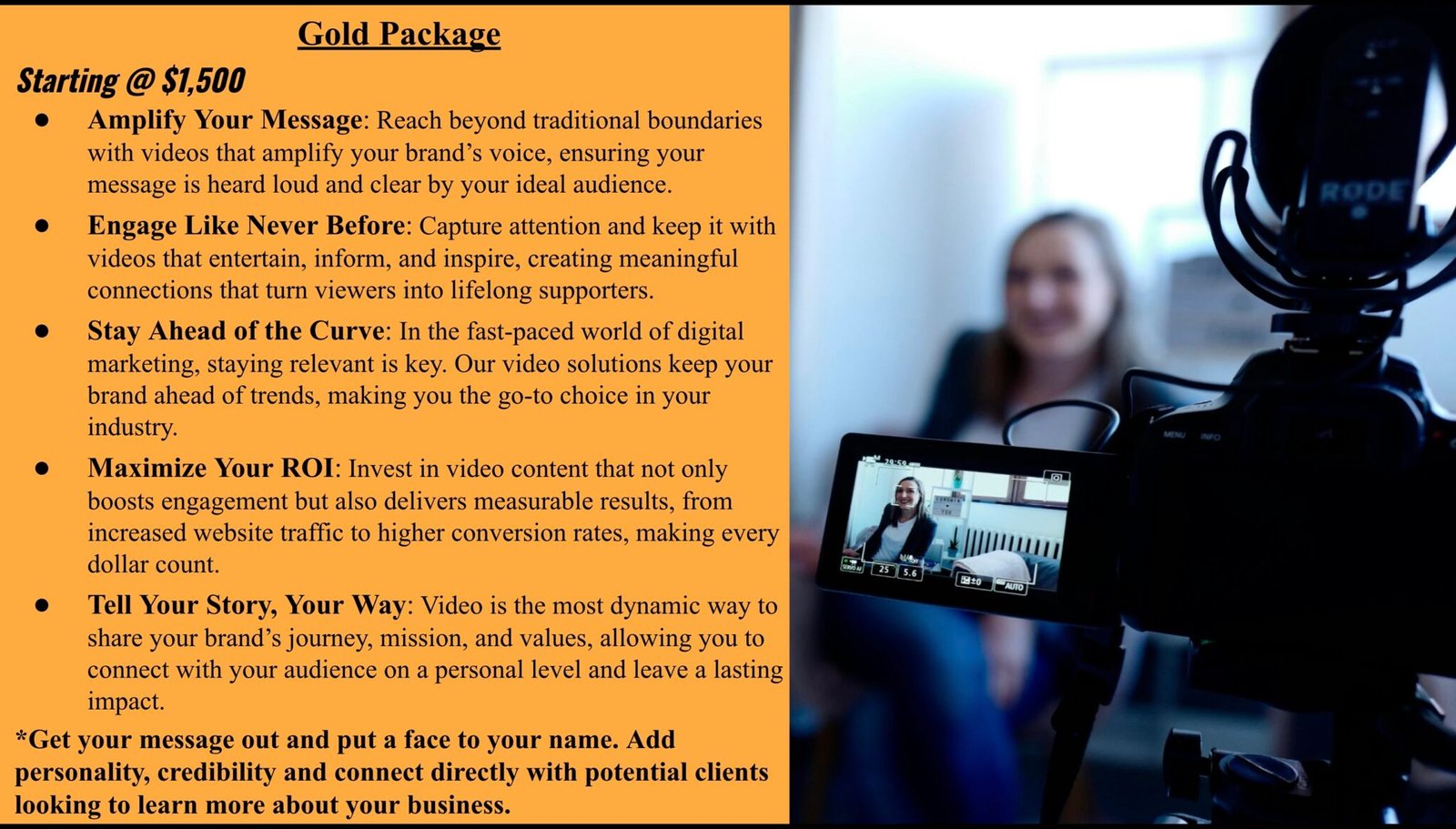 twig publishing Gold package pricing CALL TO ACTION2